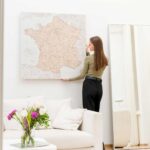 france wall map with pins 3fr (2)