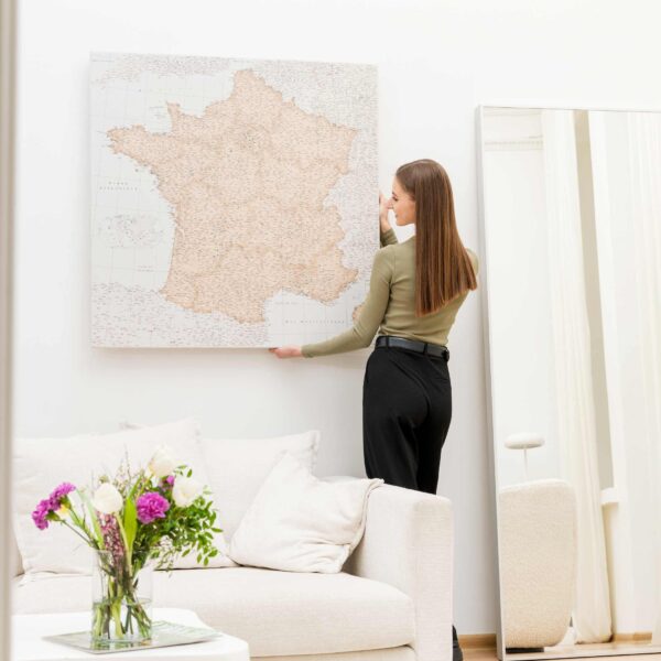 france wall map with pins 3fr (2)
